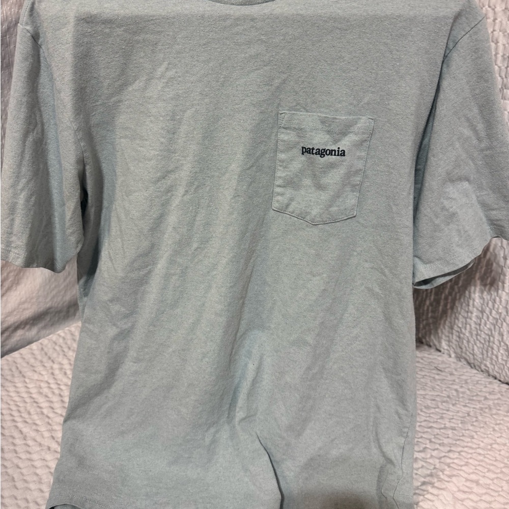 Patagonia Men's Sky Blue Short Sleeve Tee